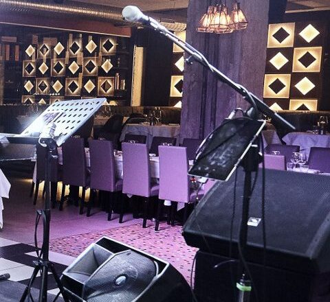 THE SINGER