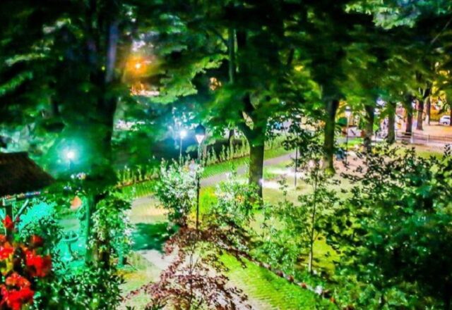 LE JARDIN