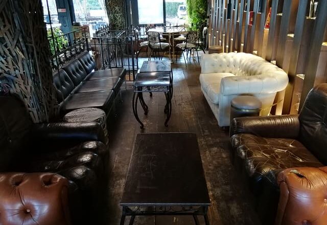 Gecko23 Milano