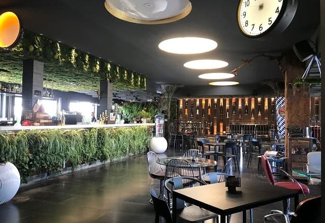 Gecko23 Milano
