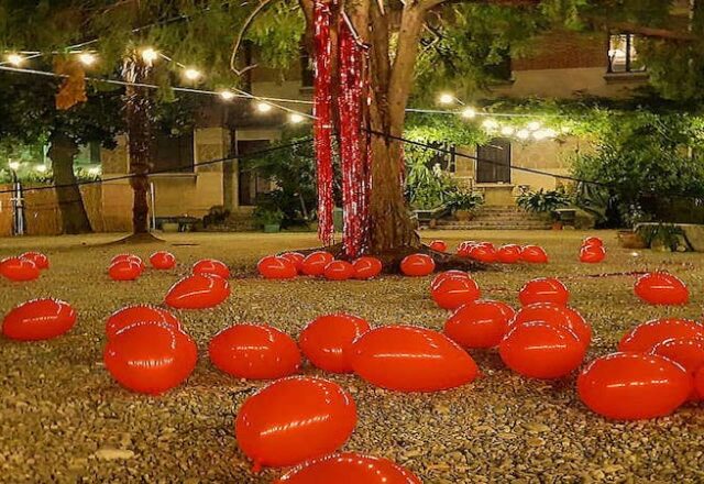 Beautiful Garden
