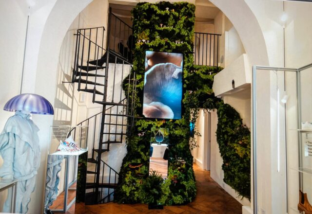 Loft Principessa
